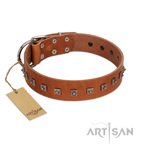 Stunning decorated genuine leather dog collar