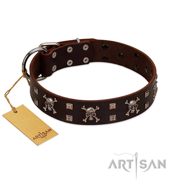 High quality full grain leather dog collar handcrafted for your dog