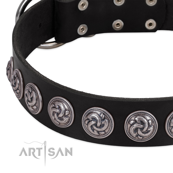 Quality full grain natural leather dog collar handcrafted for your canine