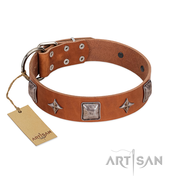Top rate full grain genuine leather dog collar with embellishments for walking