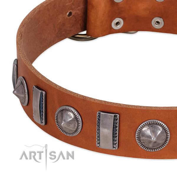 Stylish design embellished full grain genuine leather dog collar for everyday walking