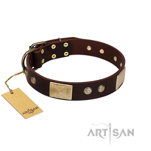 Easy to adjust full grain natural leather dog collar for basic training your four-legged friend