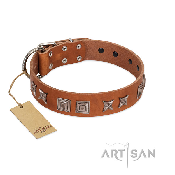 Genuine leather dog collar with designer adornments created dog