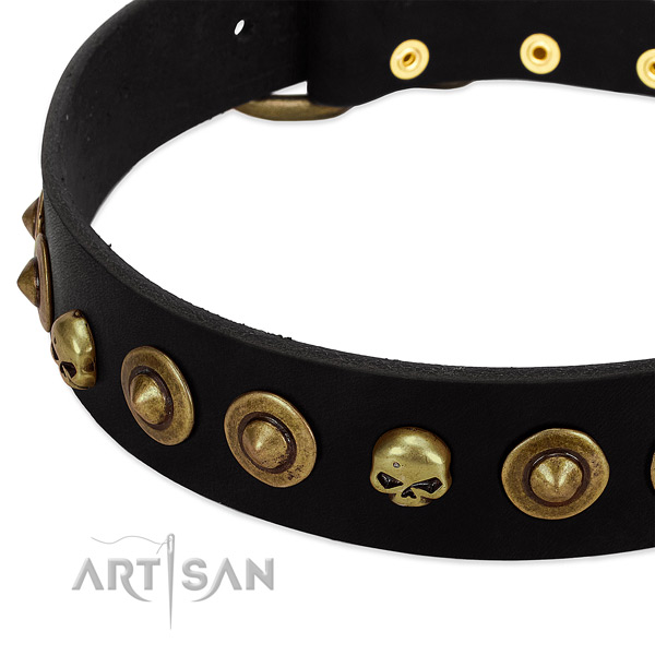 Full grain natural leather dog collar with trendy studs