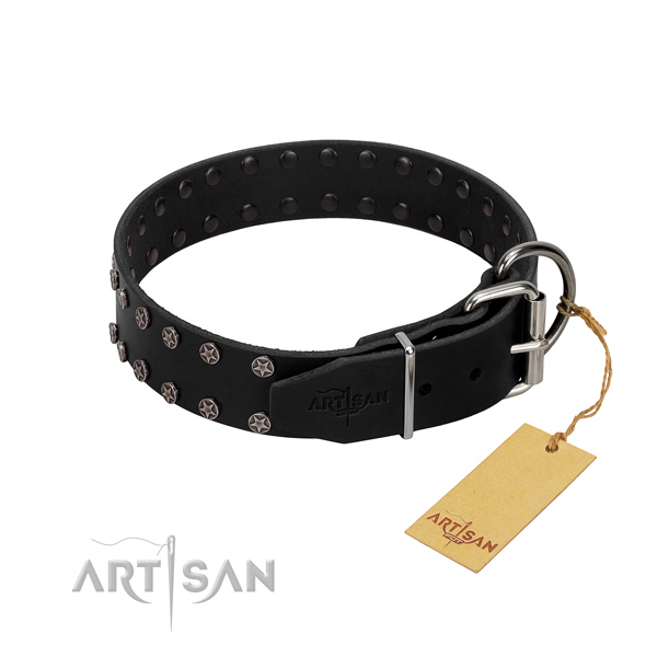 Top notch full grain genuine leather dog collar with embellishments for your canine