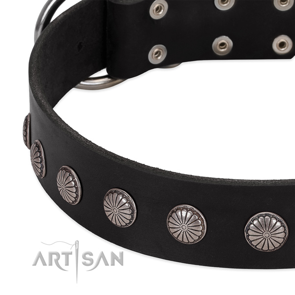 Quality leather dog collar with adornments for comfy wearing