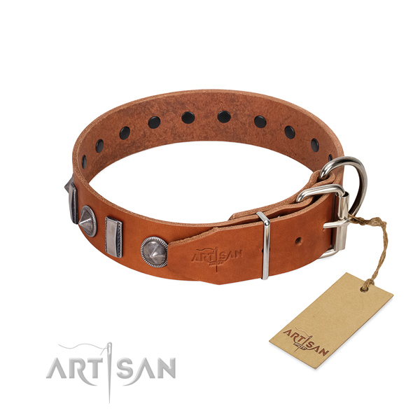 Walking leather dog collar with trendy studs