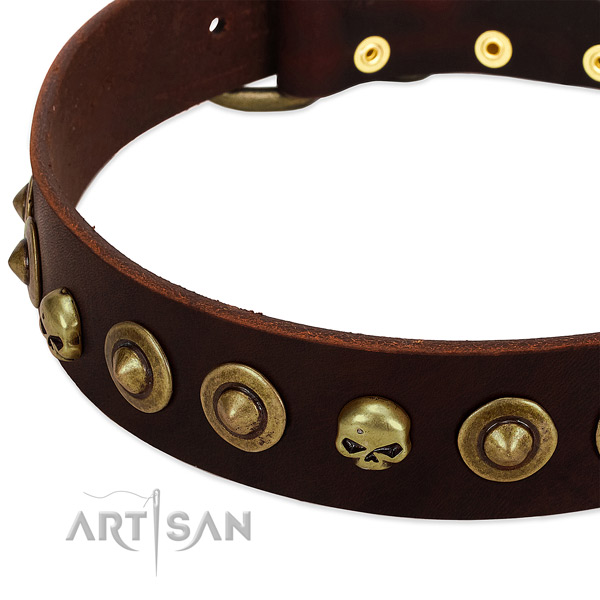 Unusual studs on full grain leather collar for your four-legged friend