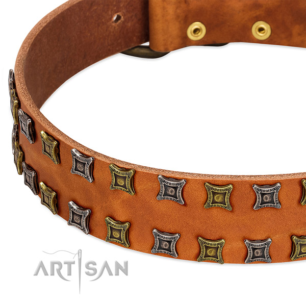 Flexible full grain leather dog collar for your handsome canine
