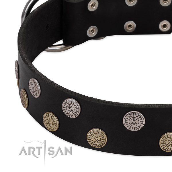 Awesome embellishments on full grain leather dog collar for walking