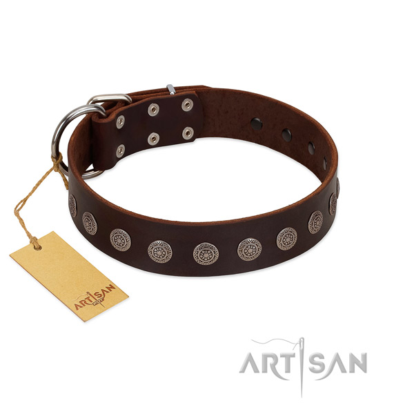 Incredible leather collar for your doggie