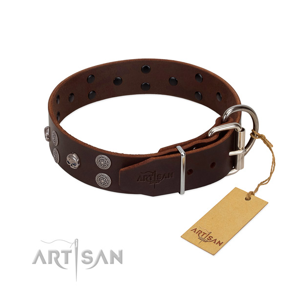 Top notch leather dog collar with decorations for handy use