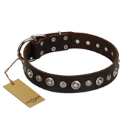 "Gorgeous Shields" FDT Artisan Brown Leather German Shepherd Collar with Old Silver-like Circles and Small Camomiles "Gorgeous Shields" FDT Artisan Brown Leather German Shepherd Collar with Old Silver-like Circles and Small Camomiles