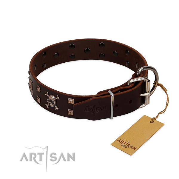 Everyday walking top notch full grain genuine leather dog collar with studs
