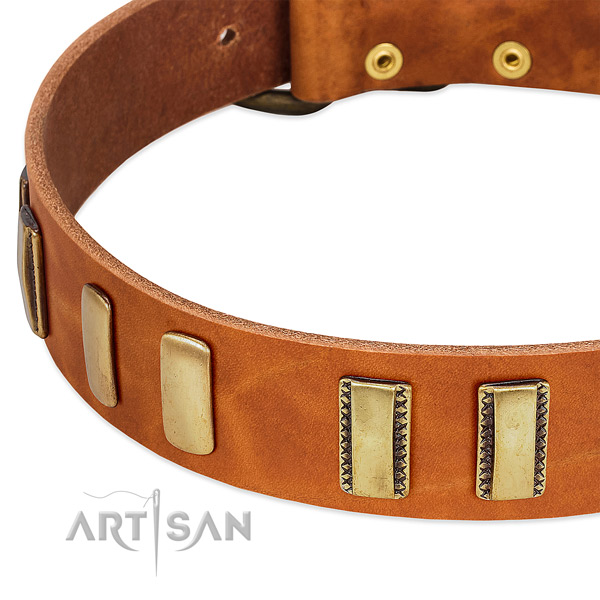 Top rate leather dog collar with embellishments for comfortable wearing