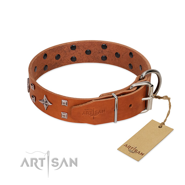 Unusual full grain natural leather collar for your canine everyday walking