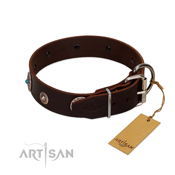 Awesome decorated full grain leather dog collar