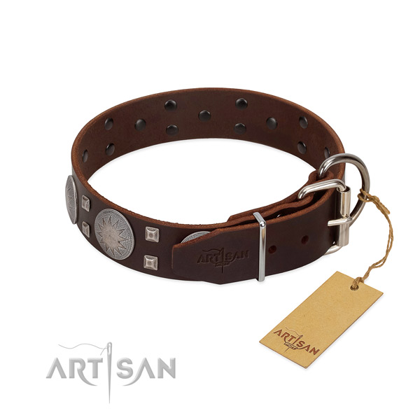 Awesome genuine leather dog collar for walking your canine