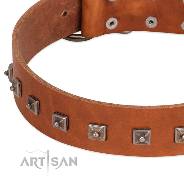 Best quality leather dog collar with incredible studs