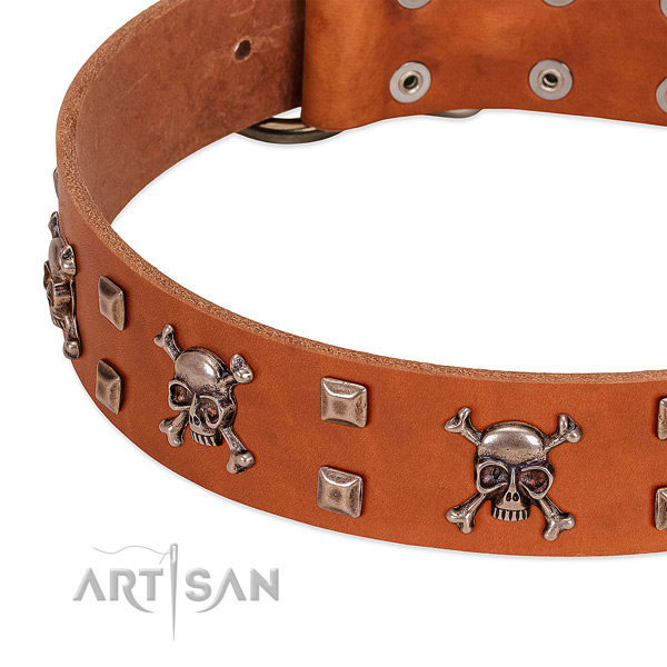 Trendy natural leather collar for your doggie