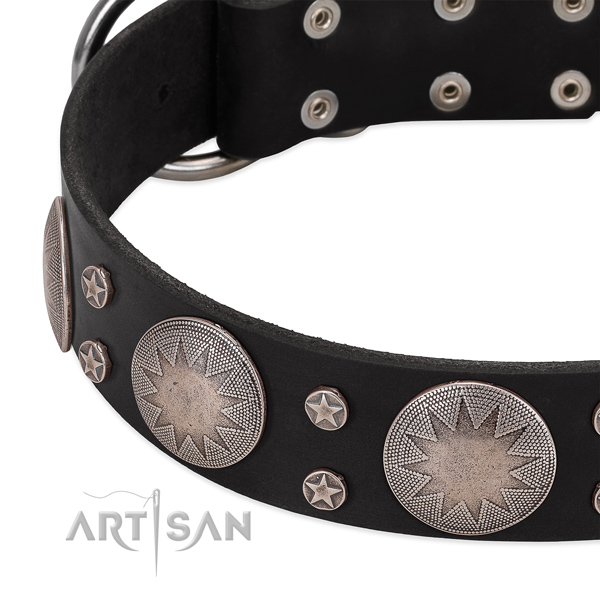 Soft genuine leather dog collar with studs for your handsome four-legged friend