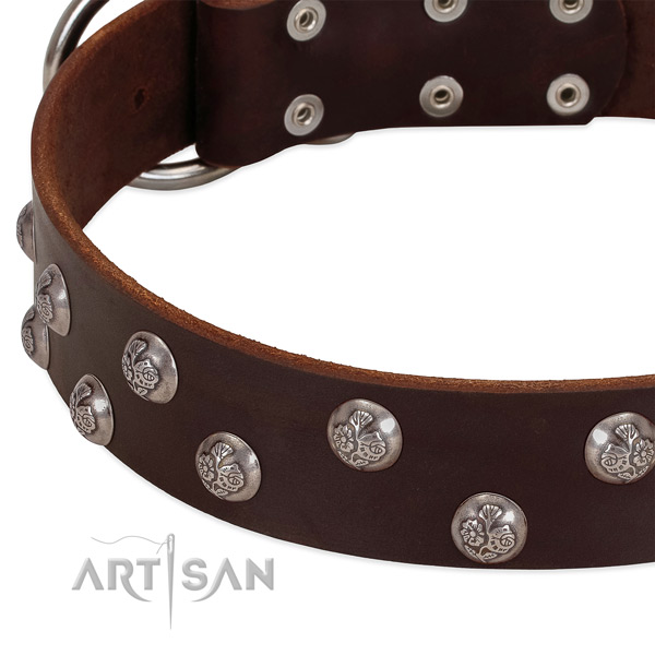 Genuine leather dog collar with reliable D-ring and adornments