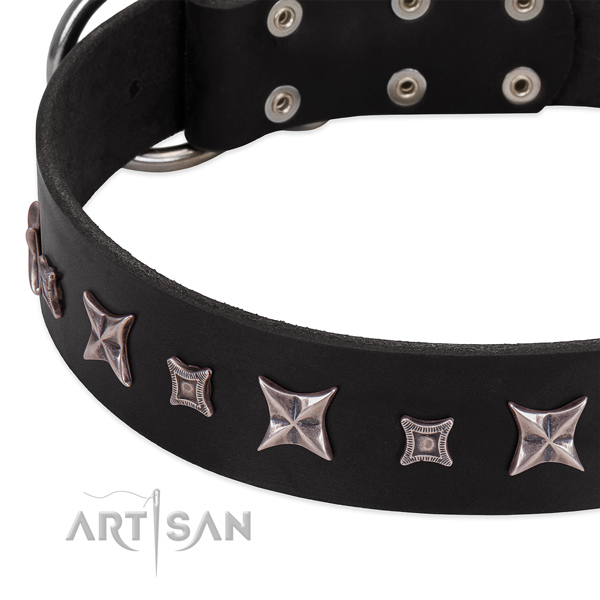 Everyday walking natural leather dog collar with unique embellishments