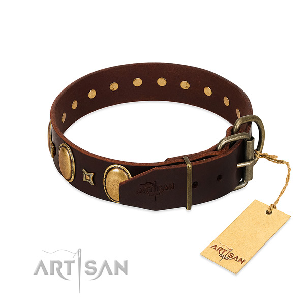 Flexible leather collar crafted for your pet