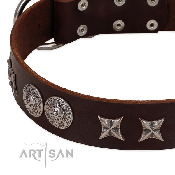 Awesome leather dog collar with rust resistant D-ring