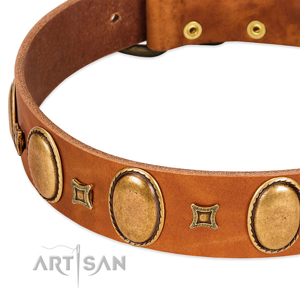 Full grain natural leather dog collar with rust resistant traditional buckle for comfy wearing
