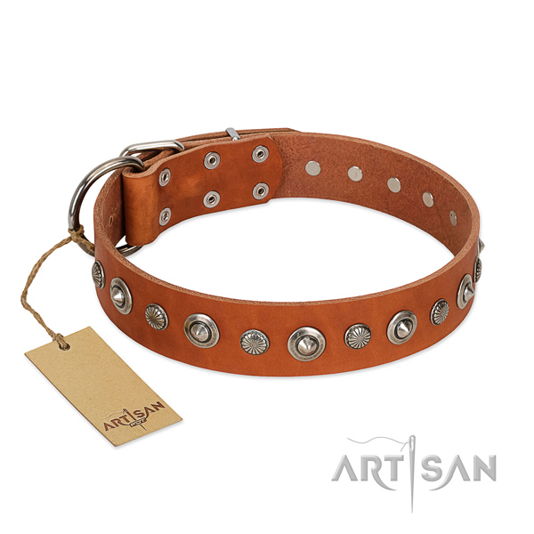 Finest quality natural leather dog collar with top notch adornments