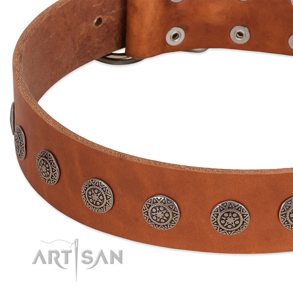 Impressive collar of leather for your doggie