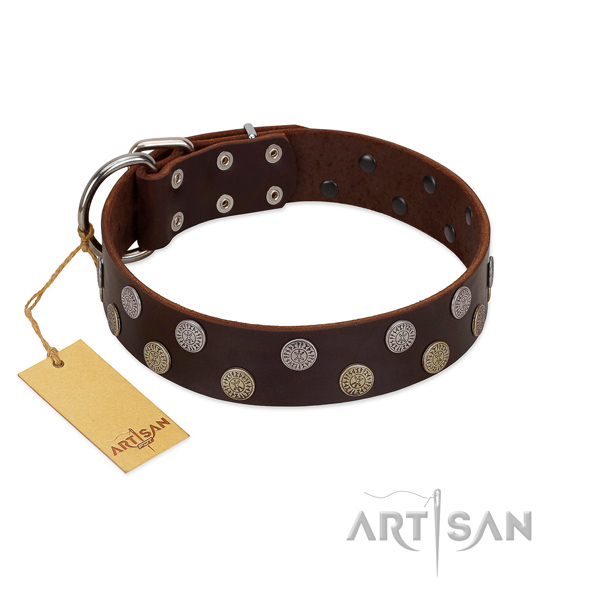 Stylish leather collar for easy wearing your pet