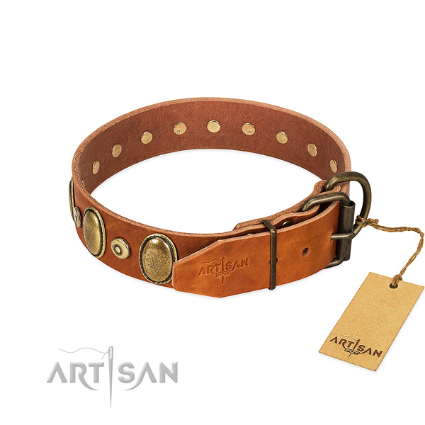 Durable buckle on comfy wearing collar for your canine