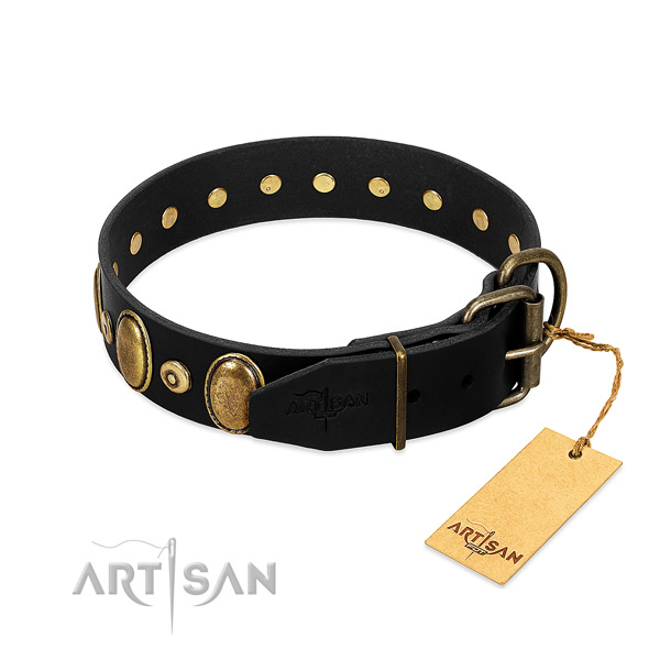 Strong traditional buckle on comfortable wearing collar for your canine