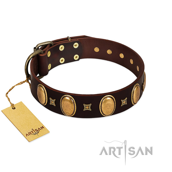Genuine leather dog collar with incredible adornments for comfortable wearing
