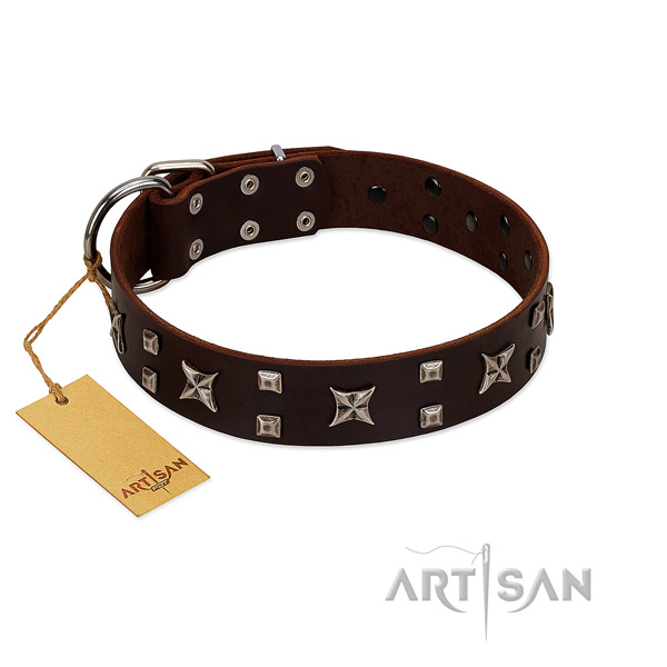 High quality full grain leather dog collar with decorations for walking