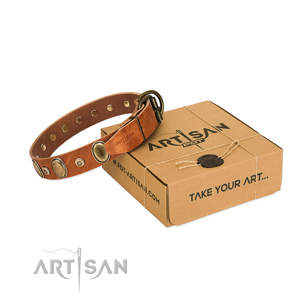 Durable adornments on easy wearing collar for your doggie