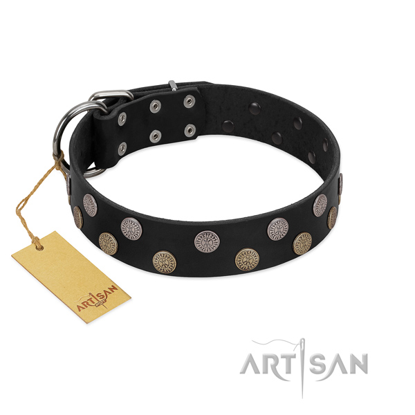 Leather dog collar with designer studs for your doggie