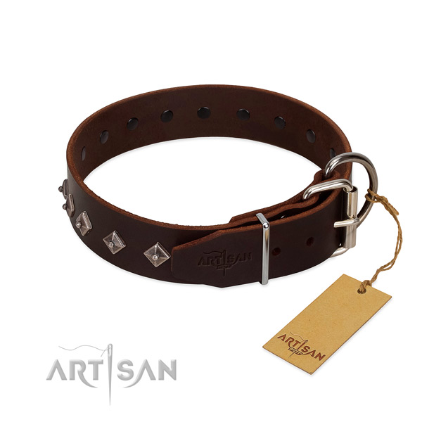 Amazing decorations on leather collar for everyday use your pet