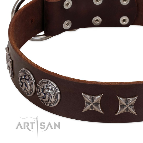 Genuine leather collar with unusual adornments for your doggie