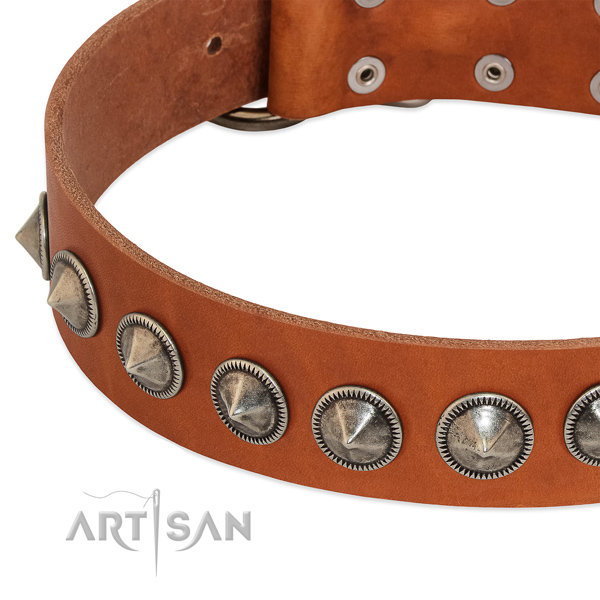Stylish walking decorated full grain natural leather collar for your canine