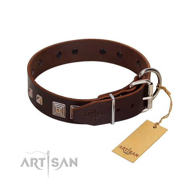 Daily use full grain genuine leather dog collar with significant studs