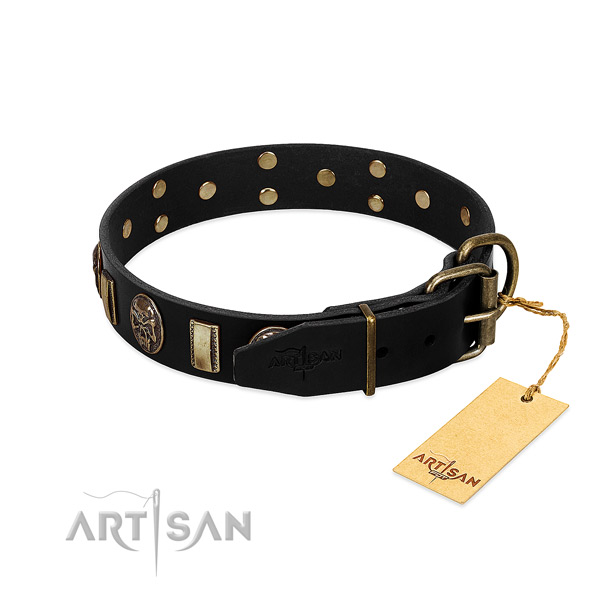 Full grain leather dog collar with rust resistant fittings and decorations
