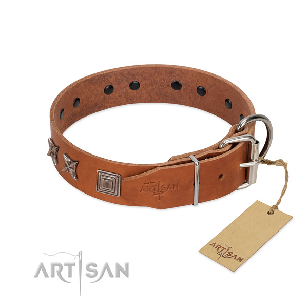 Natural leather dog collar with designer adornments for your canine