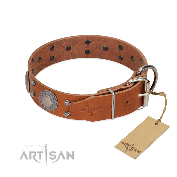 Reliable hardware on full grain leather dog collar for walking