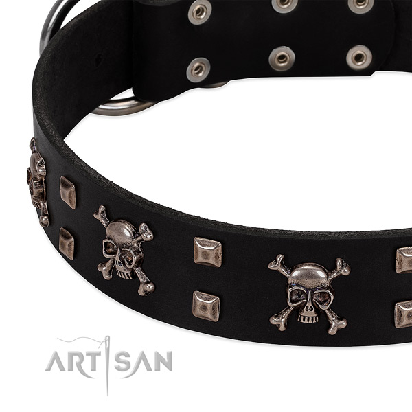 Embellished collar of natural leather for your handsome four-legged friend