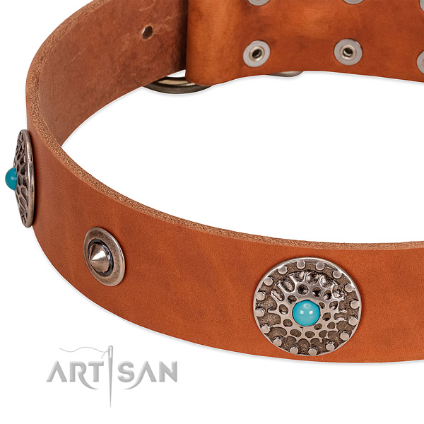Handy use top rate leather dog collar with adornments