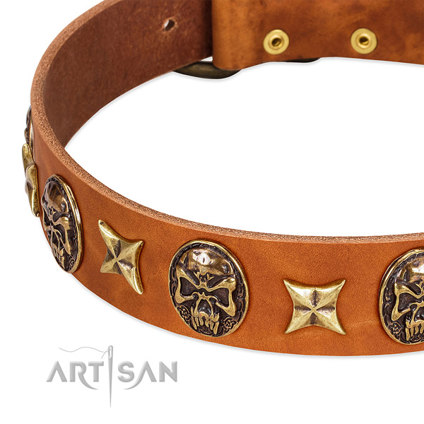 Rust-proof traditional buckle on natural genuine leather dog collar for your doggie