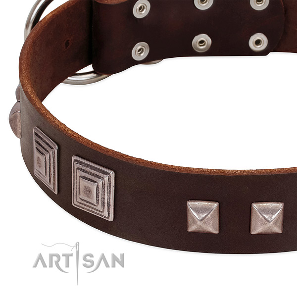 Strong hardware on genuine leather dog collar for comfy wearing